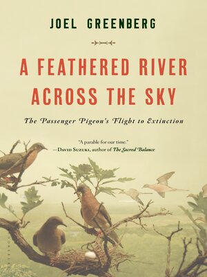 cover image of A Feathered River Across the Sky